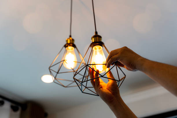 Best Residential Electrician Services  in Lake Arbor, MD
