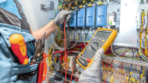 Best Electric Panel Repair  in Lake Arbor, MD